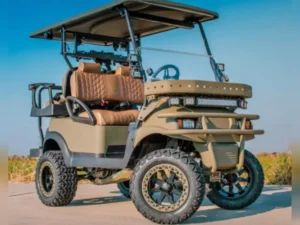 Used 2018 Club Car Golf Carts All PRECEDENT For Sale