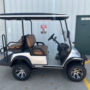 2024 Advanced EV AEV 4 Series For Sale