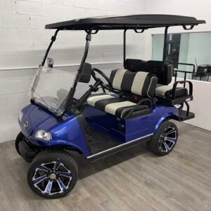 4 Passenger2025 Evolution Classic 4 Plus For Sale