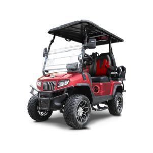 2025 Evolution D5 Maverick For Sale