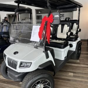 2025 Evolution 4 Seater For Sale