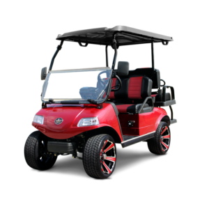 2025 Evolution Classic For Sale