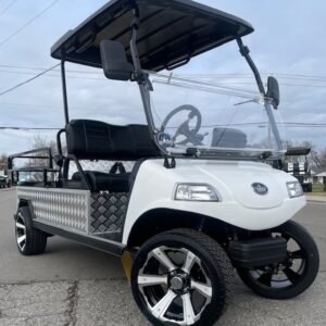 2025 Evolution Turfman For Sale